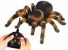 Plně funkční velký pavouk Tarantule na dálkové ovládání. Pomocí tlačítkového vysílače lze ovládat lezení pavouka dopředu, dozadu, doleva a doprava. Při stisknutí prostředního tlačítka na vysílači pavouk sám předvede své dovednosti. Při pohybu vypadá pavouk velmi realisticky a svítí mu modře oči, takže si s ním užijete určitě spoustu dobré zábavy.

Hlavní přednosti: 
- Realistické zpracování.
- Pohyb pavouka dopředu/dozadu/doleva/doprava.
- Demo program - pavouk sám předvede své dovednosti.
- Modře svítící oči.
- Vyměnitelné baterie pro provoz.
- Vhodné pro vnitřní i venkovní použití.
 