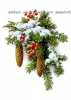 Myslete již na vánoce a darujte svým nejbližším kousek zdraví, nebo si jen udělejte zdravou radost. 
Jedná se o produkty firmy OKG

Pište si pro bližší info Více na www.emimi.cz